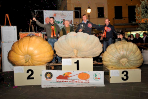 Festa della Zucca: in Toscana arrivano le più grandi d'Italia