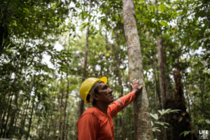 Fattoria Scaldasole per l'Amazzonia con la campagna "One like One forest"