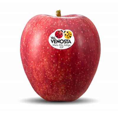 GALA Val Venosta - il frutto dalla raccolta naturale e sostenibile