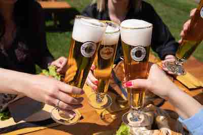 warsteiner-pils