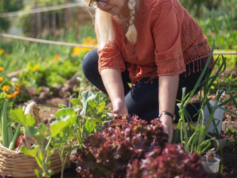 agricoltura-sociale-donna-campo