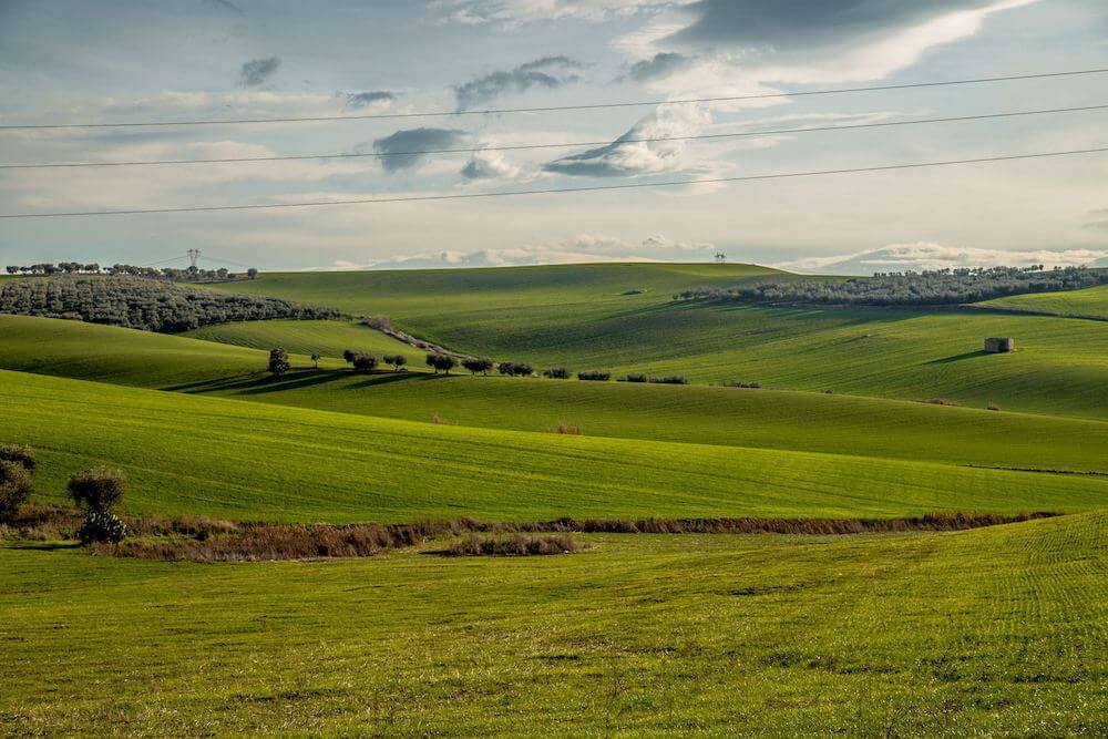 alce-nero-paesaggio-collinare