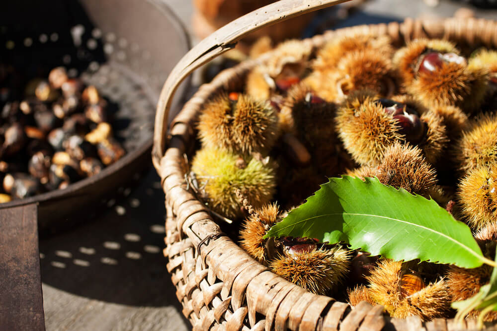 cesto-di-castagne