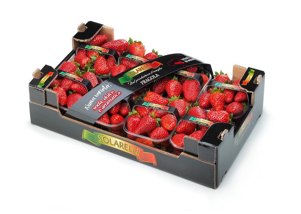 fragole-solarelli