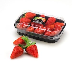 fragole