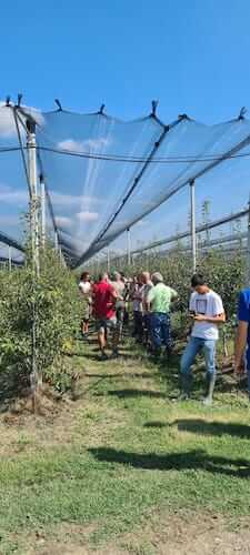 open-days-apofruit