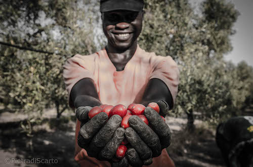 pomodoro-pietra-di-scarto-puglia