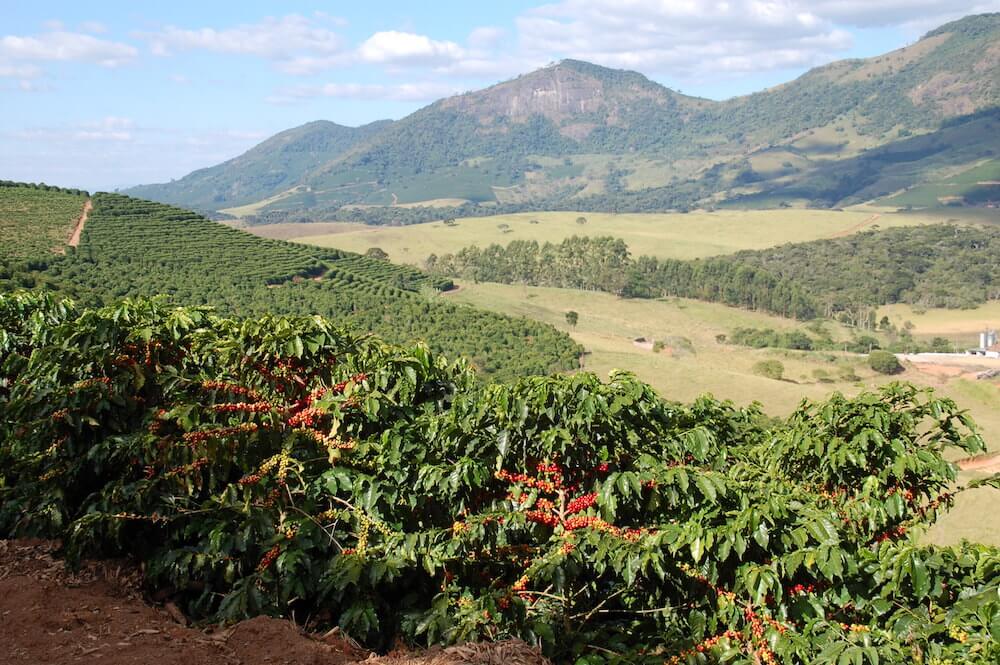 mantiqueira-de-minas