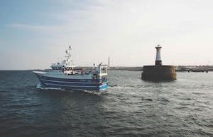 msc-haddock