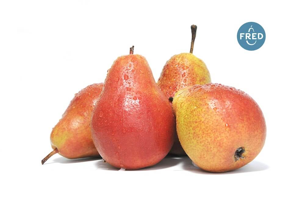 pere-fred