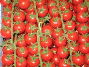 pomodori
