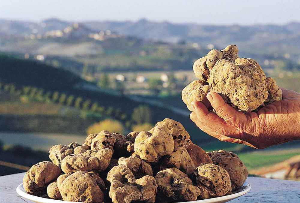 tarturfo-volterragusto