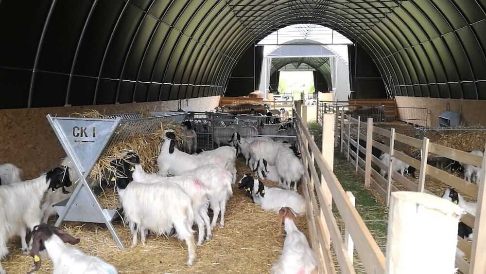 Consulenza e Risorse insieme a Zooristur a favore di un progetto per l’Abruzzo