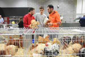 agrietour-2