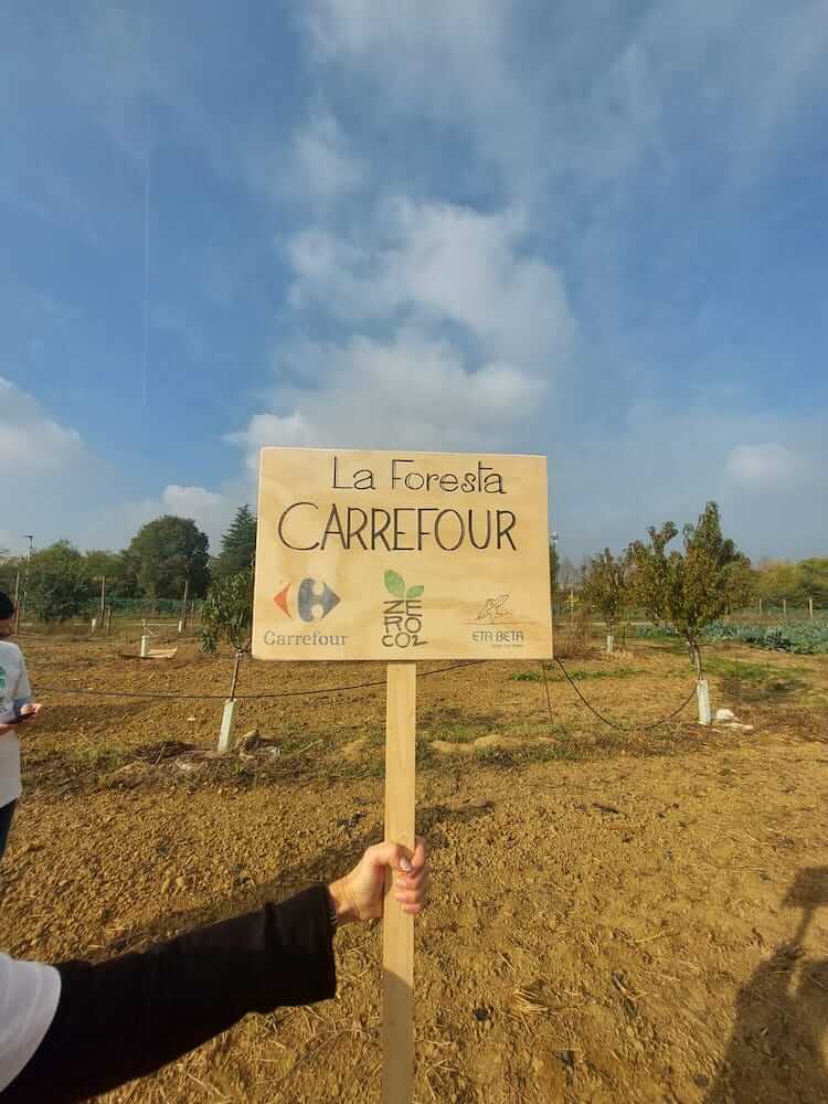 foresta-carrefour