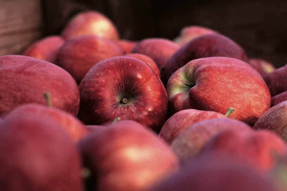 mele-red-delicious