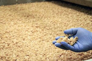 produzione-pasta-astrabio