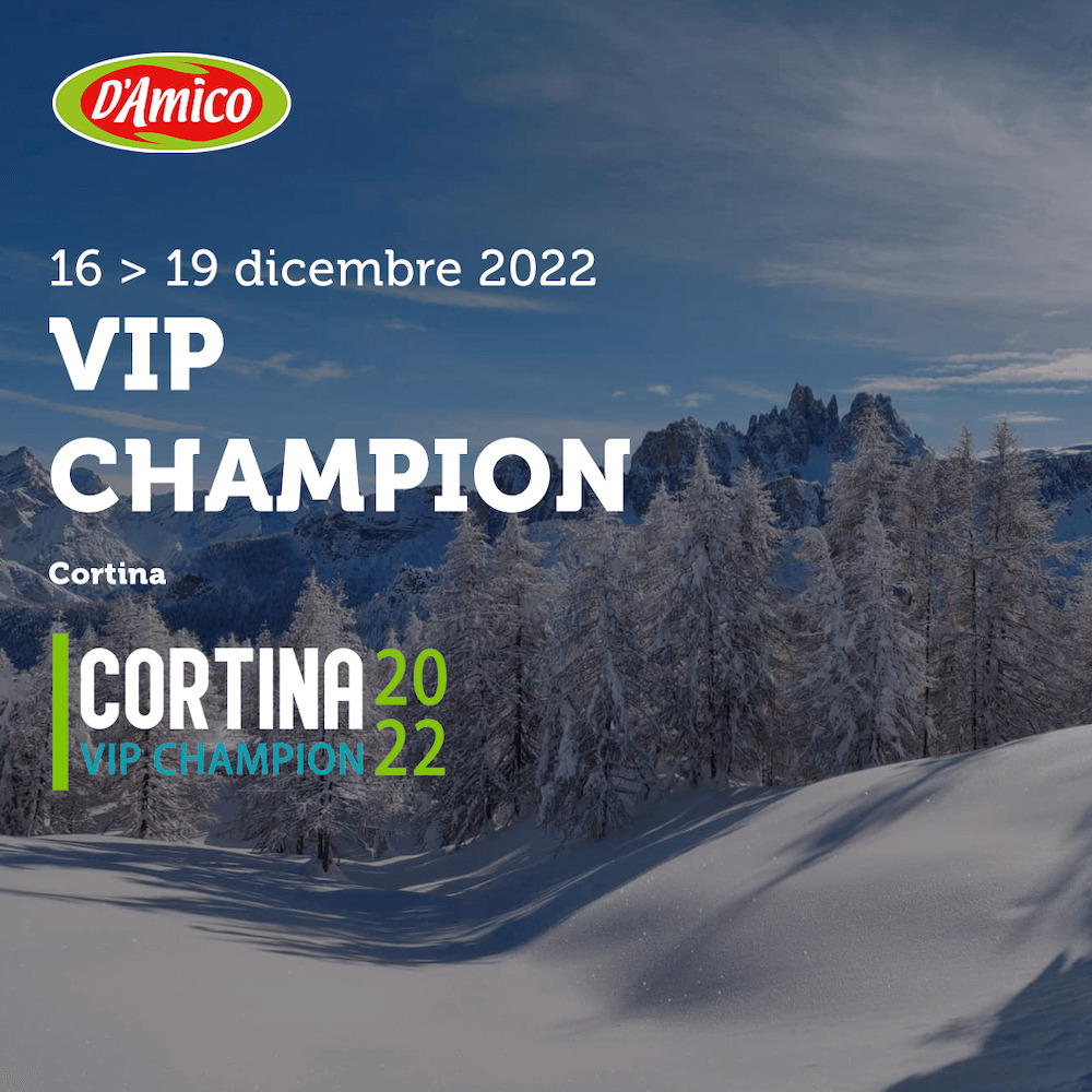 vip-champion-damico