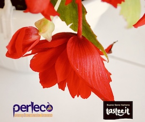 fiori-perleco