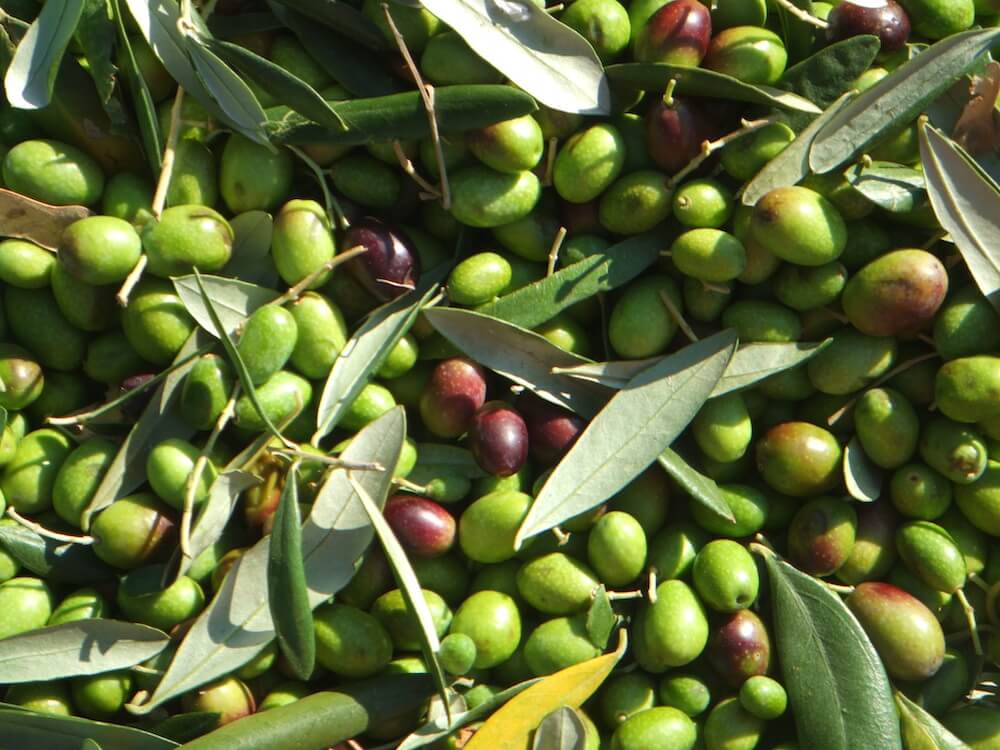 olives