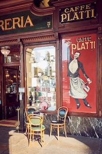 plattitorino