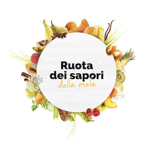 ruotasapori
