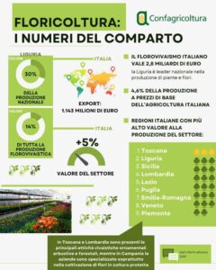 infografica-floricoltura