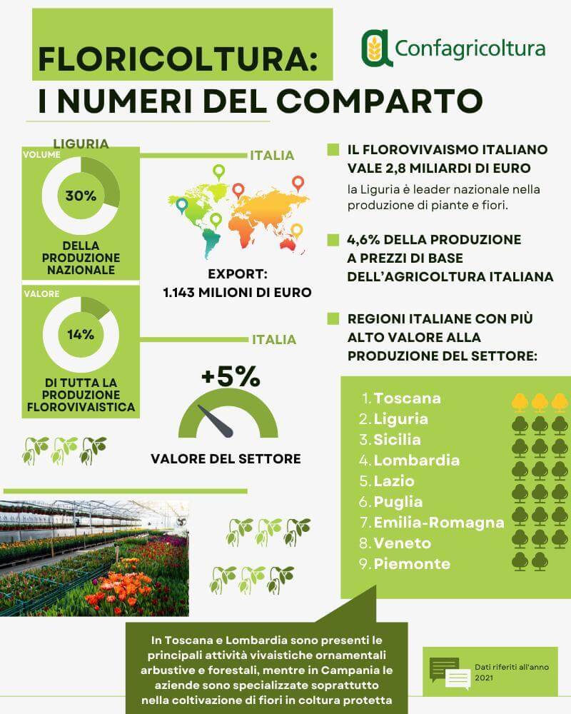 infografica-floricoltura
