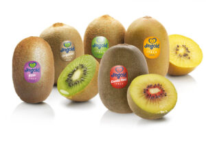 kiwi