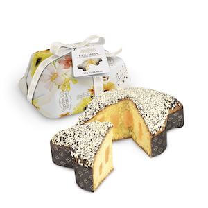colomba-arancia