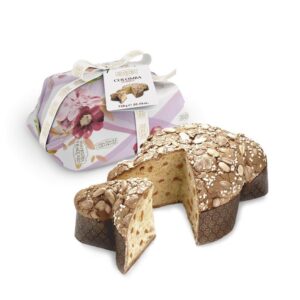 colomba-classica