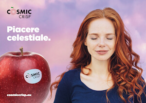 cosmic-crisp