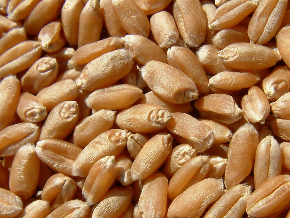 sementi