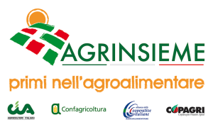 agrinsieme