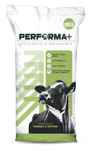 sacco-performa