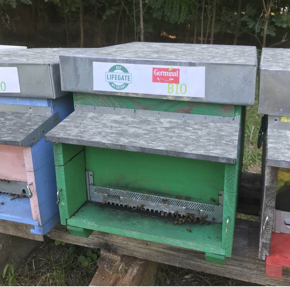 le-arnie-di-germinal-bio-per-bee-my-future