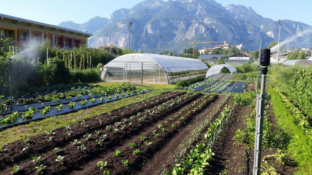 orto-didattico-della-fem