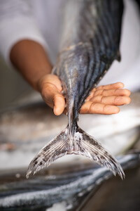 pesce