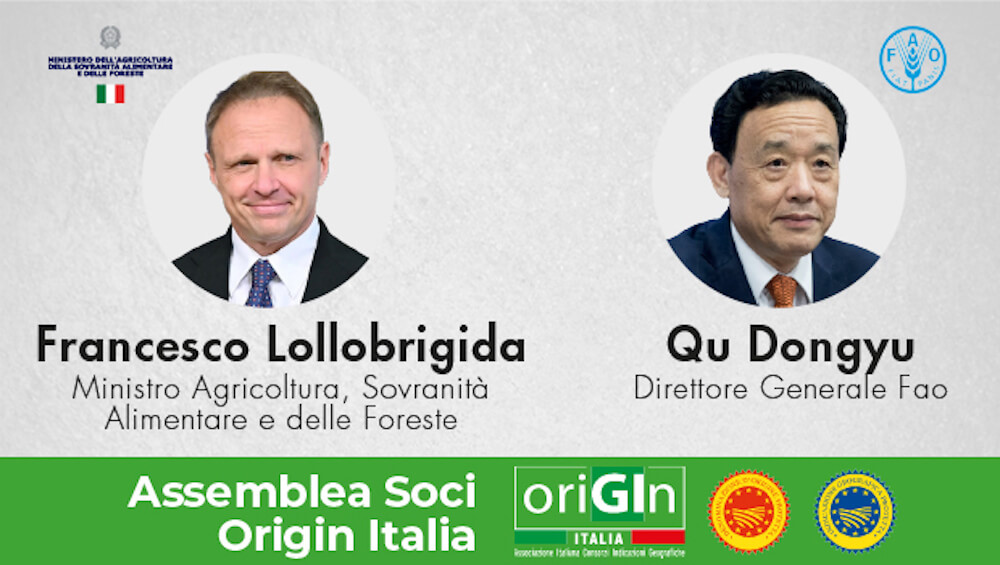 assemble-soci-origin2023