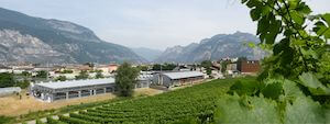 fem-serre