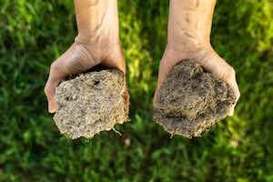 conventional-vs-organic-soil