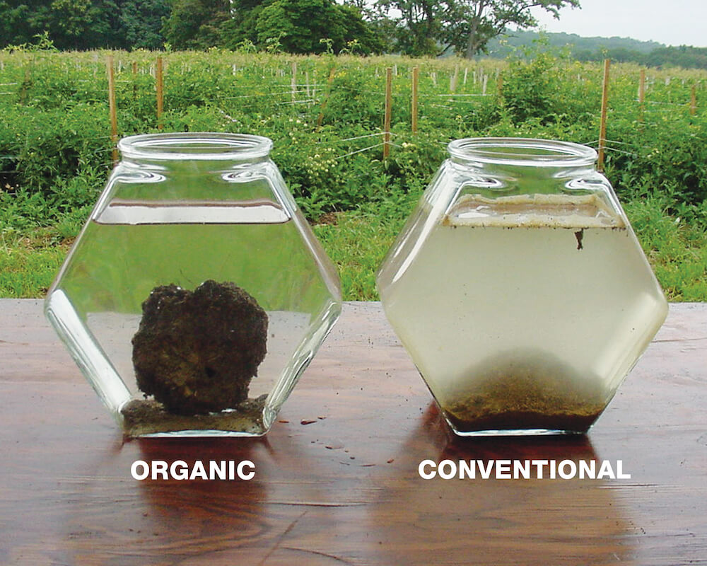 organic-and-conventional-soils-from-the-farming-systems-trial