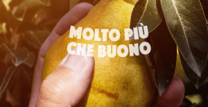 yoga-molto-piu-che-buono