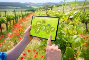 agricook-smart-farming