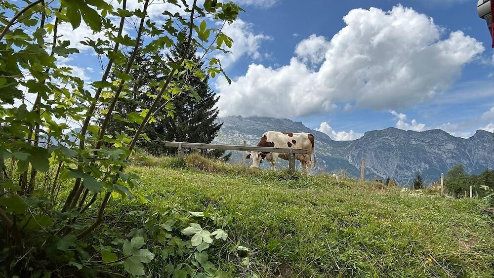 alpeggio-val-daosta