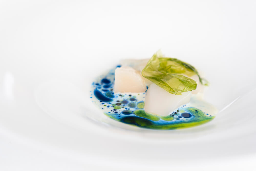 easy-fish-sabfabrice