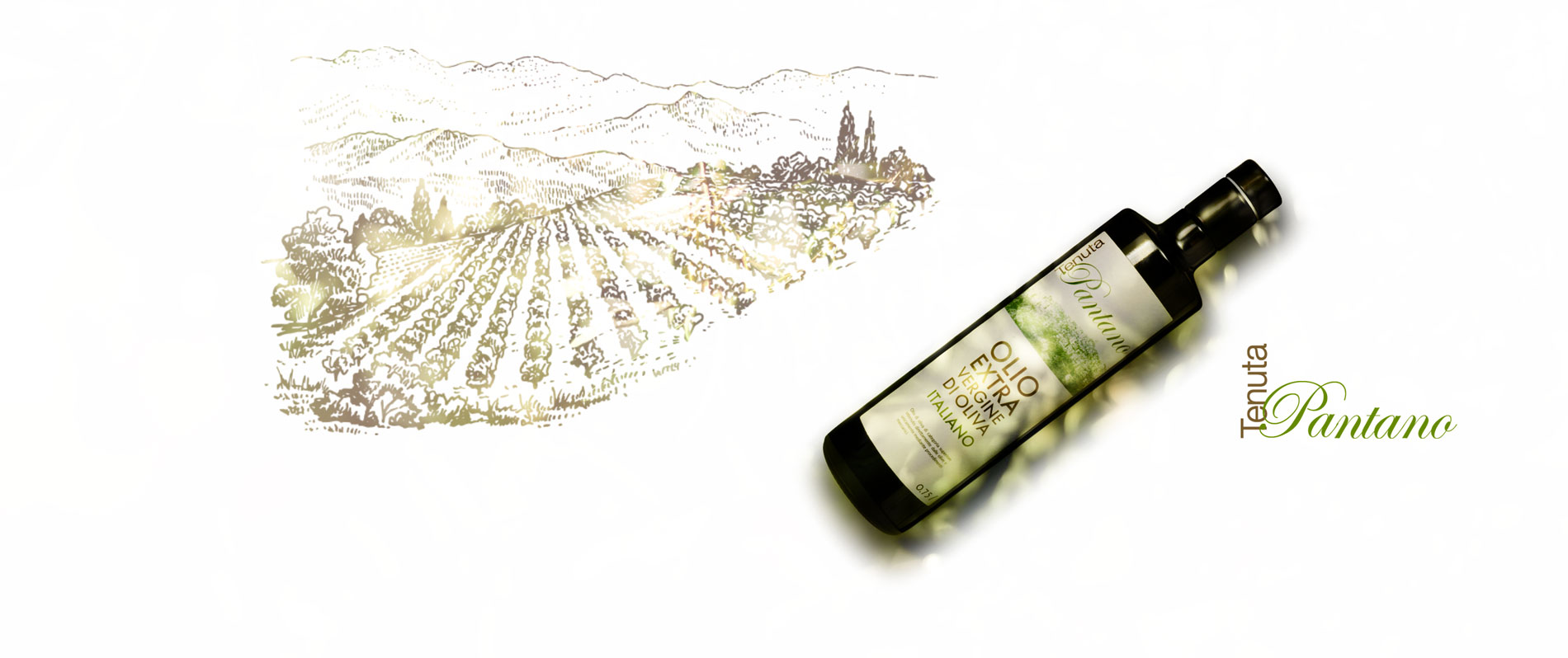 Tenuta Pantano Società Agricola SRL