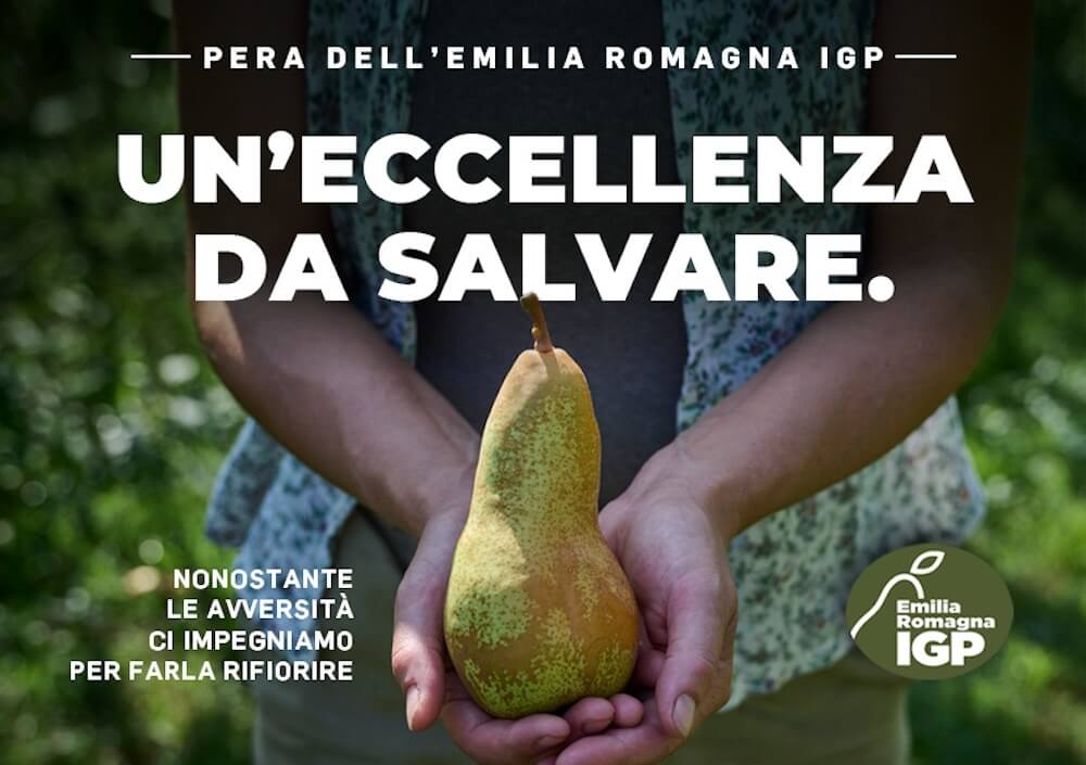 campagna-pera-emilia-romagna