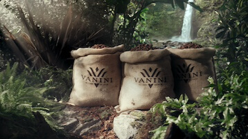 vanini