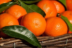 clementine